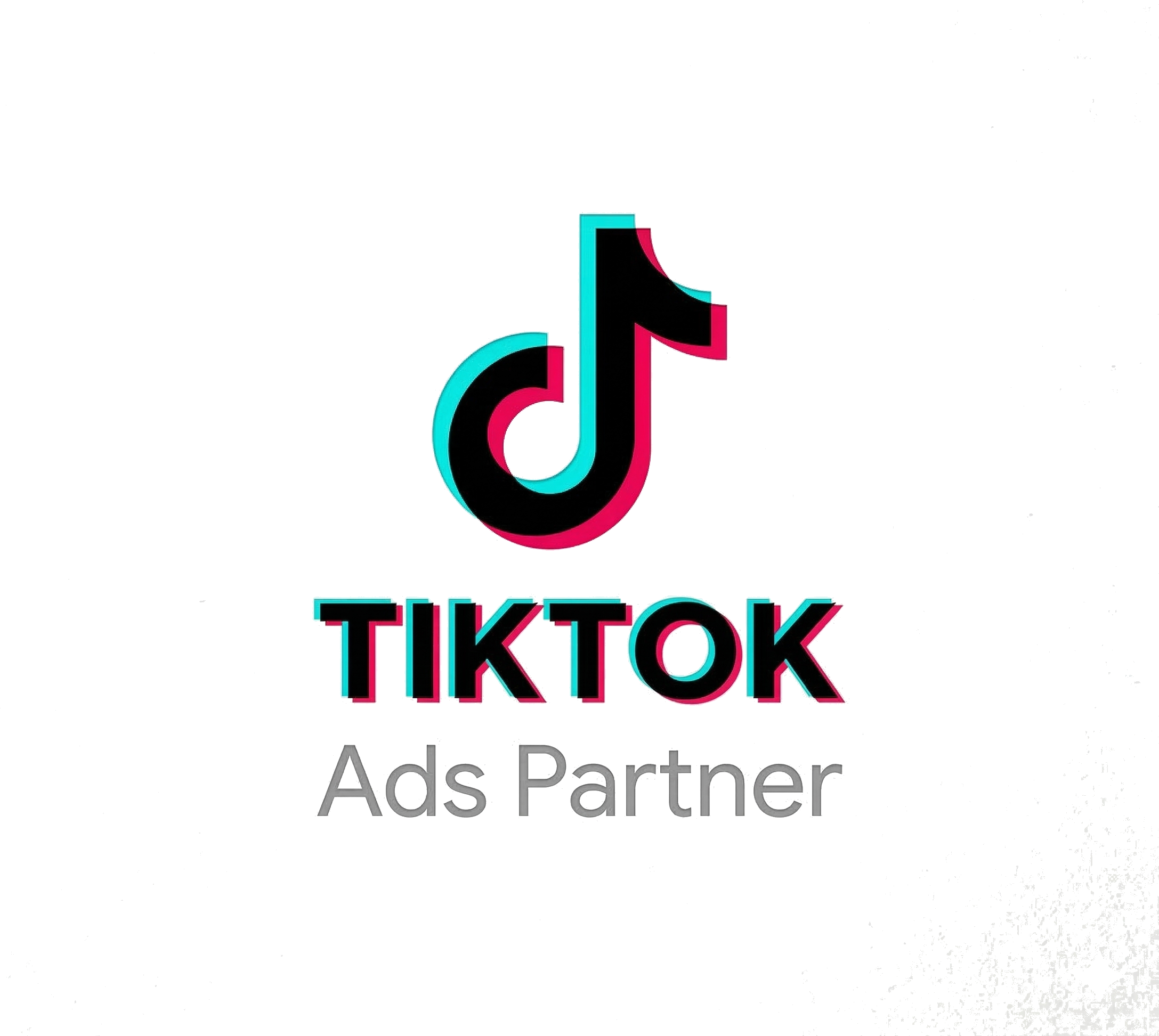 TikTok Partner